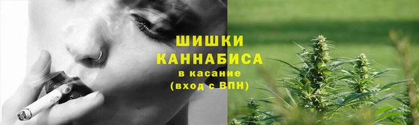 МДПВ Осинники